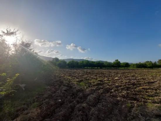 Muğla Ortaca, Dalaklı 2.000 M2, 400 M2 İnşaat Hakkı Olan  Satılık Konut İmarlı Arsa