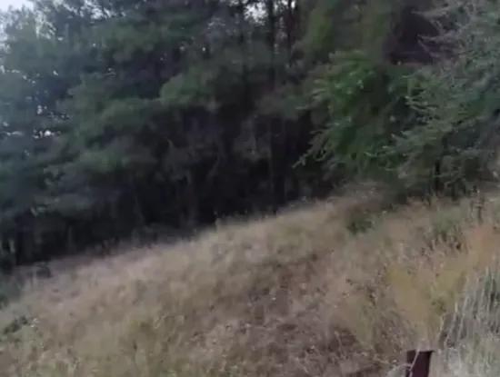 Muğla Ula Çiçekli Anayola Sıfır Yeşillikler İçinde 2. 500 2 Müstakil Tapulu Arazi Satılık.