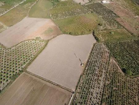 Ortaca Mergenlide Satılık Müstakil Verimli Kelepir Arazi