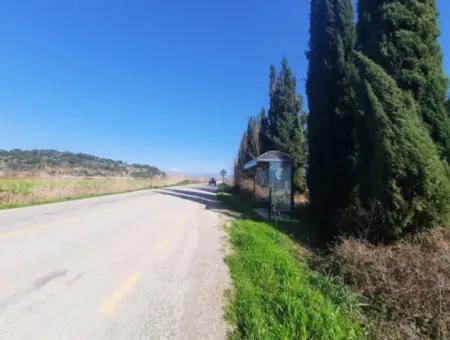 Muğla Ortaca Güzelyurtta Sarıgerme Yolu Cepheli 2256 M2 Tarla Satılık