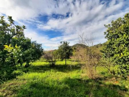 Ortaca Yerbelende Satılık Yan Yana 2 Parsel İmarlı Arsa