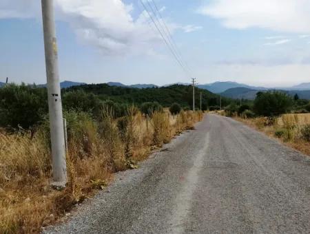 Köyceğiz Zeytinalanında Satılık Göl Manzaralı 21,248 M2 Tarla