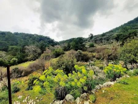 Dalyan Gökbelde Doğa İçinde Satılık 13,100 M2 Tarla