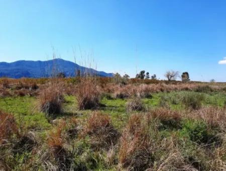 Muğla Dalyanda Satılık İztuzu Plaj Yoluna Yakın 4830 M2 Arazi