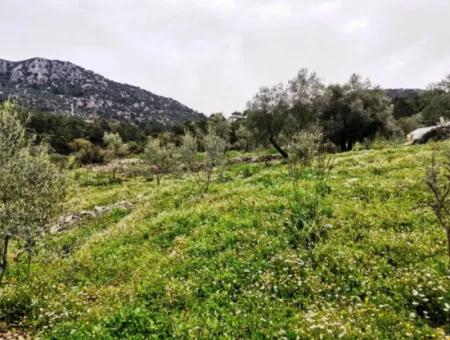 Fethiye Göcek Taşbaşında Satılık Doğa İçinde Müstakil Köy Evi