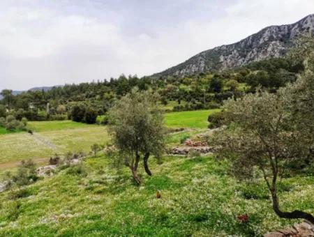 Fethiye Göcek Taşbaşında Satılık Doğa İçinde Müstakil Köy Evi