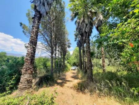 Köyceğiz Toparlarda Satılık 20,208 M2 Müstakil Arazi Ve Eski Taş Ev