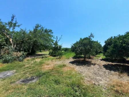 Köyceğiz Toparlarda Satılık 20,208 M2 Müstakil Arazi Ve Eski Taş Ev