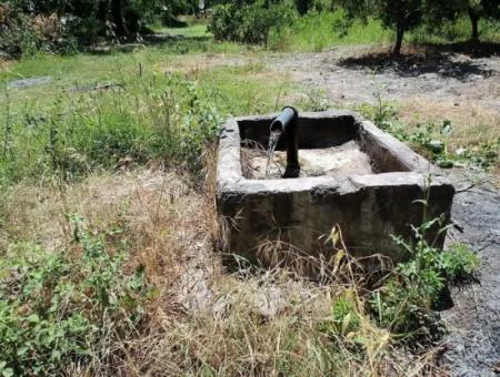 Köyceğizde Göle Yakın 2 650 M2 Müstakil Tapulu Bahçe Satılık