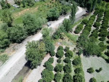 Köyceğizde Göle Yakın 2 650 M2 Müstakil Tapulu Bahçe Satılık
