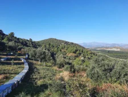 Muğla Ortaca Fevziyede Satılık Deniz Manzaralı Arazi