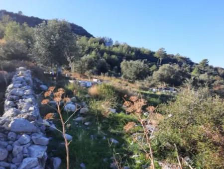 Muğla Ortaca Fevziyede Satılık Deniz Manzaralı Arazi