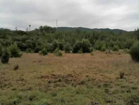 Muğla Dalaman Gürleyikte Satılık 30949 M2 Verimli Tarla