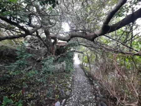 Muğla Ortaca Gökbelde Ful Deniz Ve Göl Manzaralı Otel Satılık