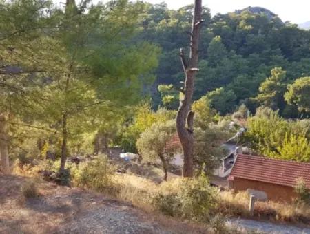 Ortaca Gökbel De  2 500 M2 Müstakil Kelepir Arazi Satılık