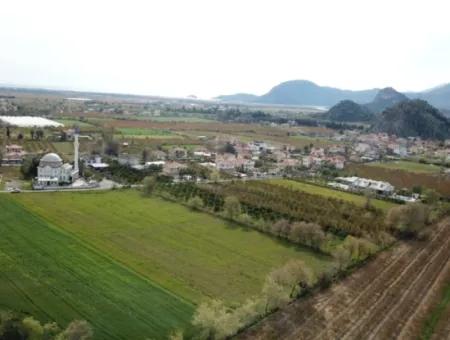 Mugla Dalyan Da 5.000 M2 Müstakil  Arazinin 250 M2 İnşaat Müsadeli  Arsa Satılık