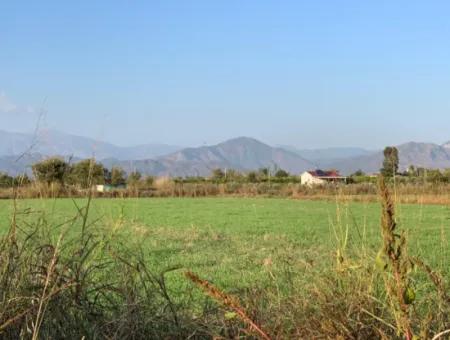 Ortaca Güzelyurt Da Kelepir 28.394 M2 Nin 4500 M2 Si Tarla Satılık