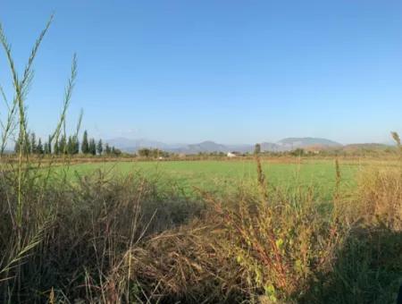 Ortaca Güzelyurt Da Kelepir 28.394 M2 Nin 4500 M2 Si Tarla Satılık