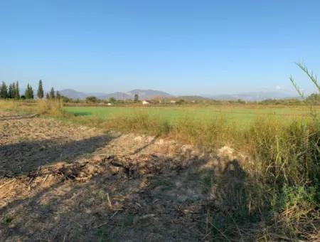Ortaca Güzelyurt Da Kelepir 28.394 M2 Nin 4500 M2 Si Tarla Satılık