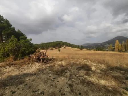 Çameli Cumalanında Eski Acıpayam Yoluna Sıfır Müstakil  6 230 M2 Arazi Satılık Veya Takas