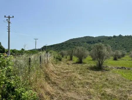 Ortaca Fevziye De 250 M2 İnşaat İzinli Arsalar Satılık