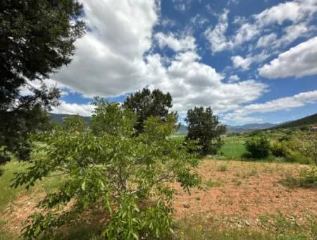 Çameli Belevi Nde Satılık 1083 M2