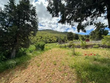 Çameli Belevi Nde Satılık 1083 M2
