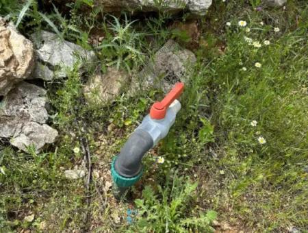 Çameli Belevi Nde Satılık 1083 M2