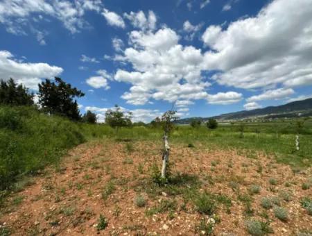 Çameli Belevi Nde Satılık 1083 M2