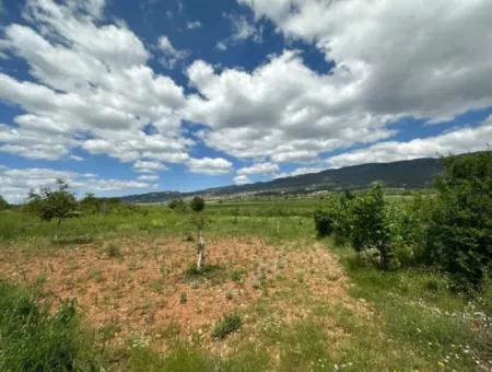 Çameli Belevi Nde Satılık 1083 M2