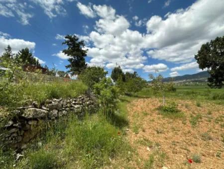 Çameli Belevi Nde Satılık 1083 M2
