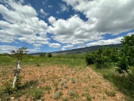 Çameli Belevi Nde Satılık 1083 M2