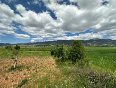 Çameli Belevi Nde Satılık 1083 M2