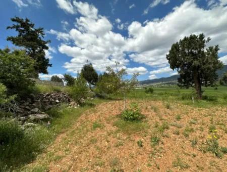 Çameli Belevi Nde Satılık 1083 M2