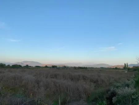 Ortaca Güzelyurt Da 26.200 M2 Müstakil Tarla Ve 3.000 M2 Satılık