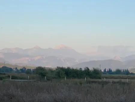 Ortaca Güzelyurt Da 26.200 M2 Müstakil Tarla Ve 3.000 M2 Satılık