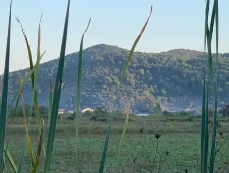 Ortaca Güzelyurt Da 26.200 M2 Müstakil Tarla Ve 3.000 M2 Satılık