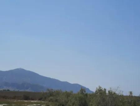 Muğla Ortaca Dalyan Da 17,513 M2 Müstakil Arazi Satılık
