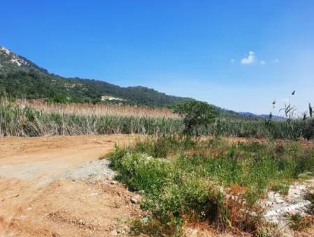 Muğla Ortaca Sarıgermede Satılık 14300 M2 Yatırıma Uygun Arazi