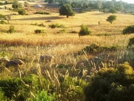 Seydikemer Boğaziçinde Satılık Deniz Manzaralı Arazi