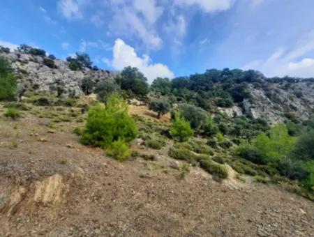 Muğla Dalyan Gökbelde  7 270 M2 Müstakil Tapulu Deniz Ve Göl Manzaralı Arazi Satılık