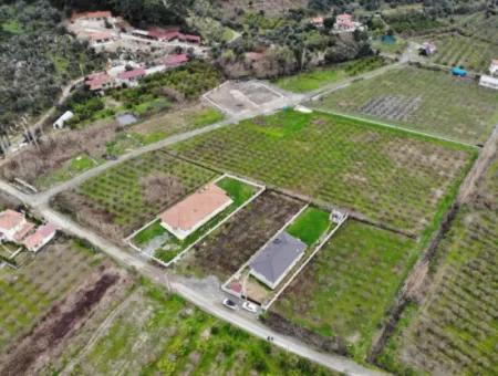 Ortaca Mergenlide Satılık İmarlı 1000 M2 Müstakil Arsa