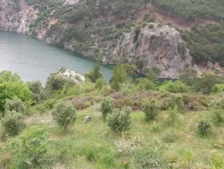 Dalaman Bozbelde Satılık Baraj Gölü Manzaralı Tarla