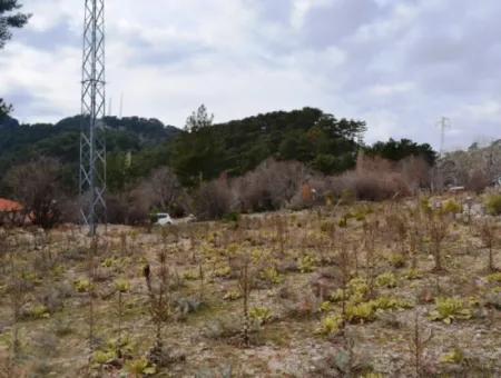 Fethiye, Nifte, 2 000 M2, Müstakil Satılık, Kelepir Arazi