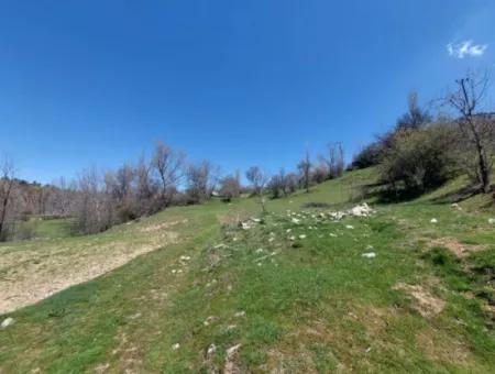 Çameli Cevizlide 650 M2 İmarlı Arsalar Satılık