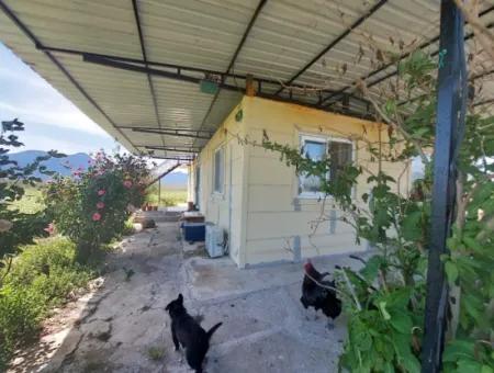 Muğla Ortaca Tepearasında Satılık Müstakil Ev Ve Arazi