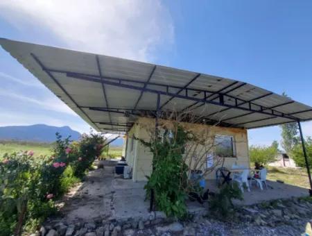 Muğla Ortaca Tepearasında Satılık Müstakil Ev Ve Arazi