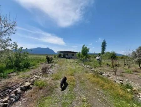 Muğla Ortaca Tepearasında Satılık Müstakil Ev Ve Arazi