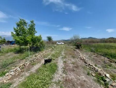Muğla Ortaca Tepearasında Satılık Müstakil Ev Ve Arazi