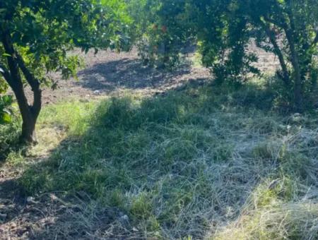 Ortaca Kemaliyede  Rızai Taksimli 500 M2 Arazi Acil Satılık